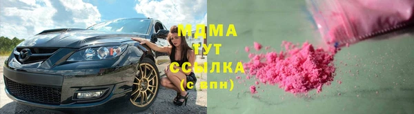 стаф Аркадак