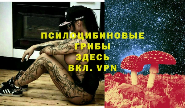 Альфа ПВП Армянск