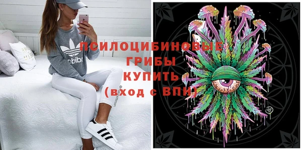 прущая мука Арсеньев