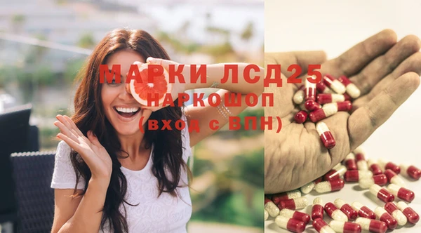 spice Баксан