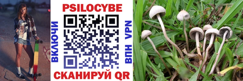 Псилоцибиновые грибы мухоморы  Купить  Богучар 